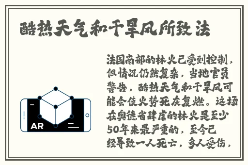 菊内留香金银花笔